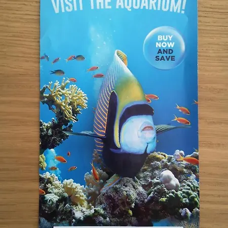 Apartment Viola Rapallo