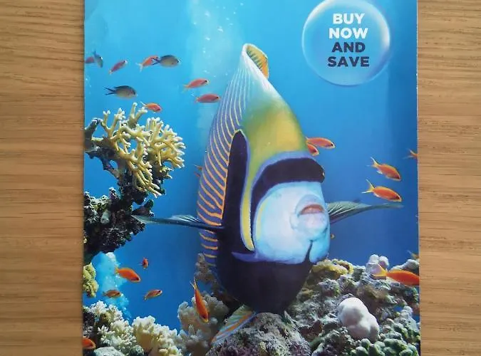 アパート Viola ラッパロ